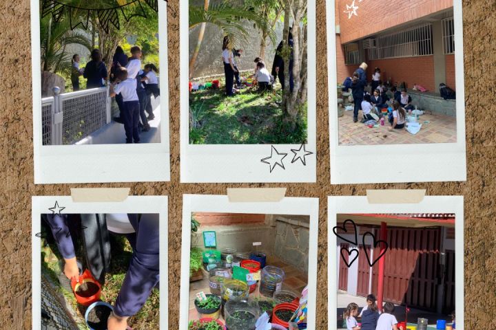 Proyecto «Manos a la Siembra» 2do grado "A y B"